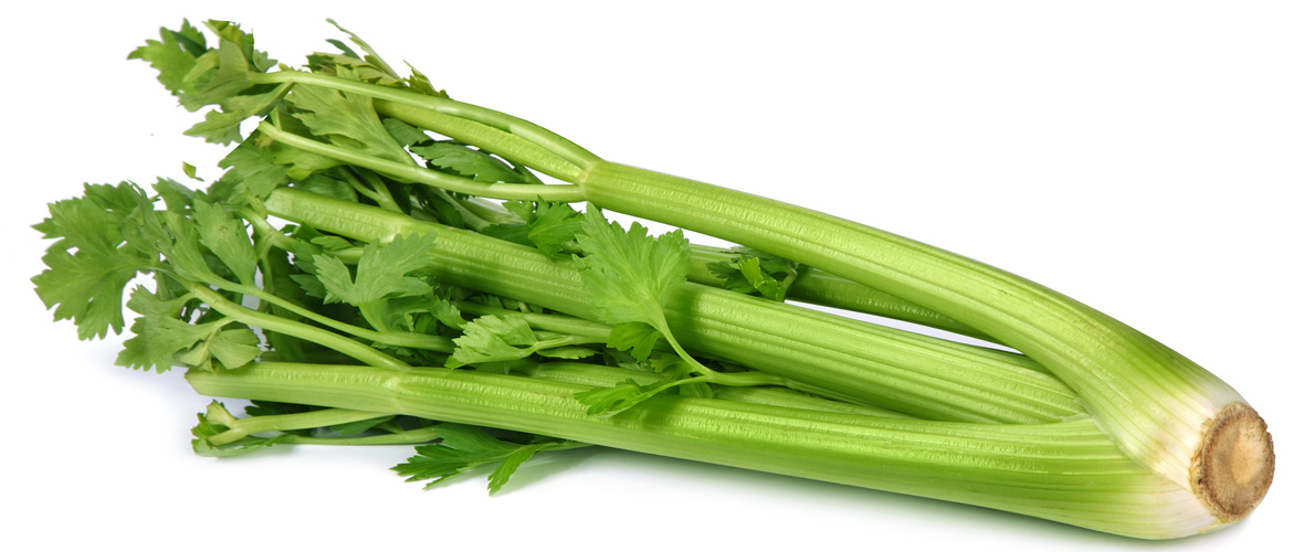 celery-post